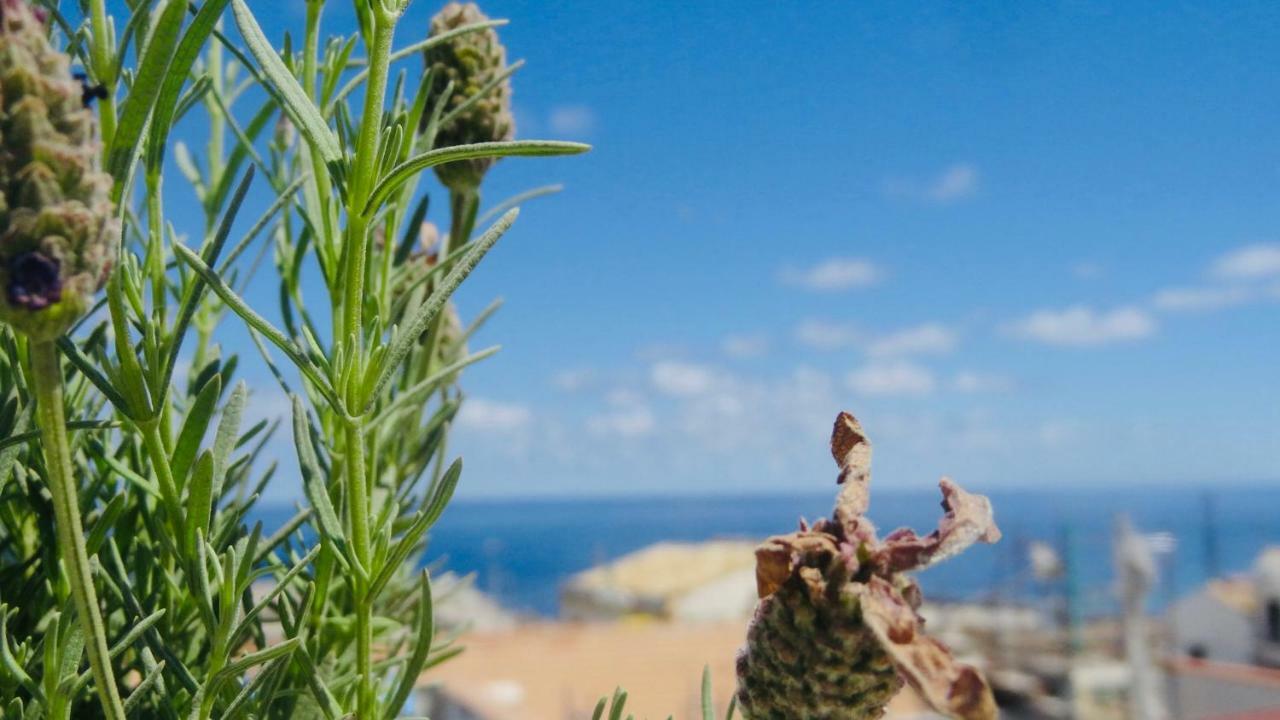 Home Holiday Sicilyイーゾラ・デッレ・フェンミネ エクステリア 写真